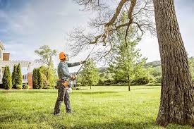 Why Choose Our Tree Removal Services in White River Junction, VT?